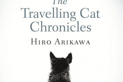 The Travelling Cat Chronicles Review Satoru and Nana: The perfect pair